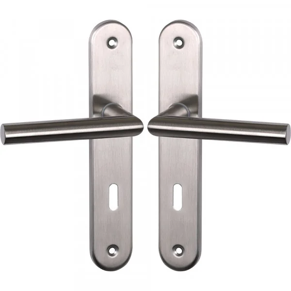 2 poignées de porte ALBANY, Inox mat entraxe 195 mm