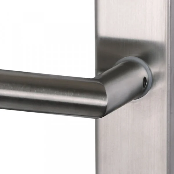 2 poignées de porte ALBANY, Inox mat entraxe 195 mm