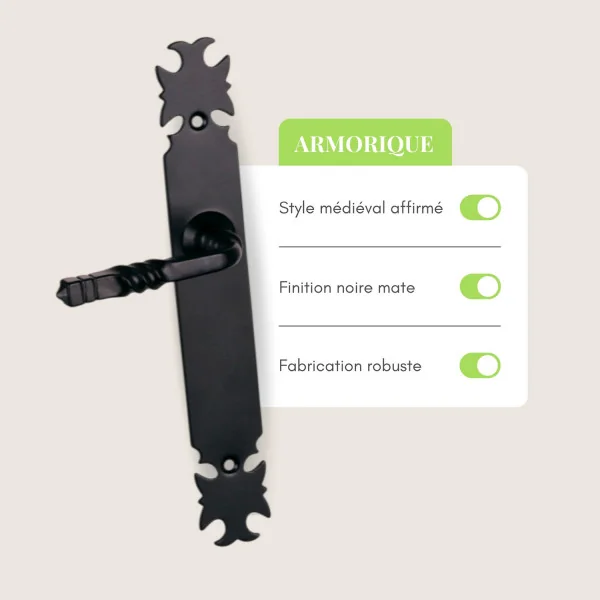 2 poignées de porte ARMORIQUE, Plaque fine minimaliste, Fer noir ou patiné entraxe 195 mm