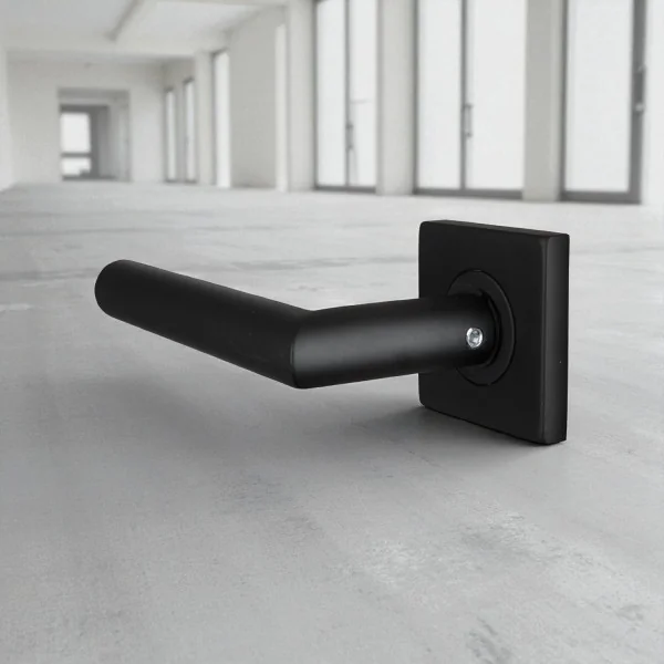2 poignées de porte BRUNELLA, Rosace carrée, Ressort bidirectionnel, Inox noir mat