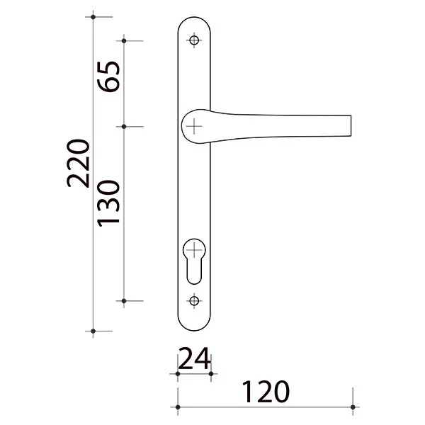 2 poignées de porte d'entrée trou cylindre ZÉNIA, plaque étroite, Aluminium argent entraxe 195 mm