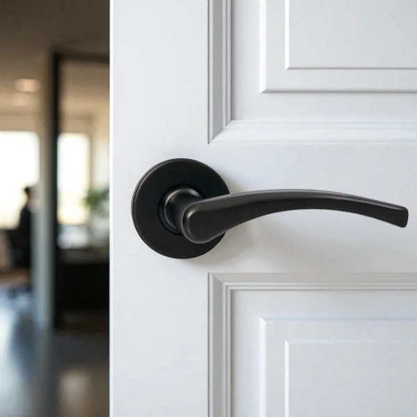 2 poignées de porte EVA, Rosace ronde, Aluminium noir mat