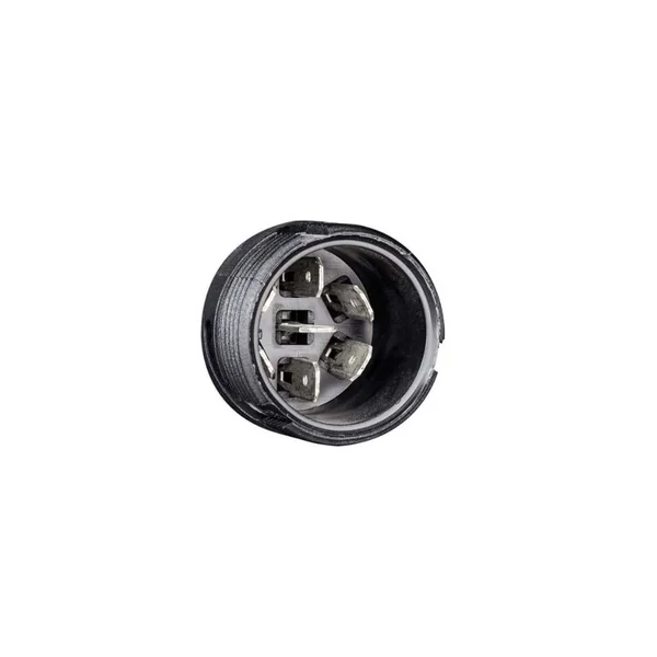 Ecopoint II Droite Aspöck - 25-2900-501 - 7P ASS2 - 12/24V