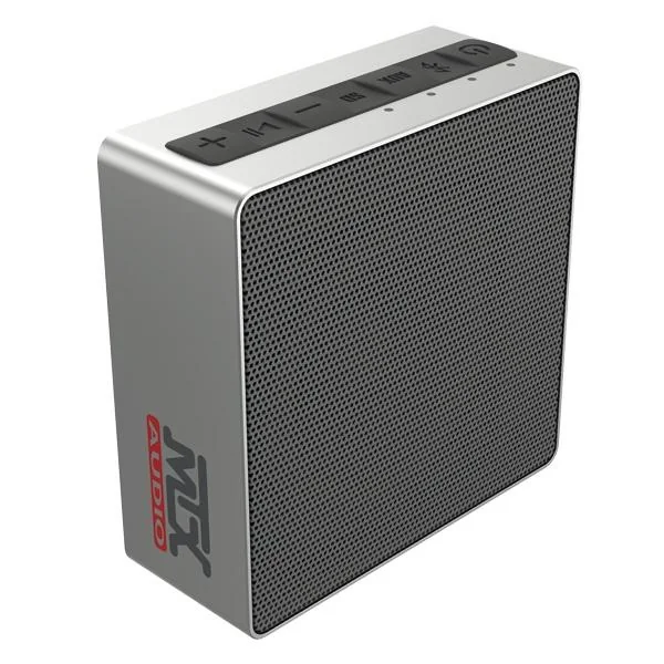 Enceinte portable BLUETOOTH IP1S MTX