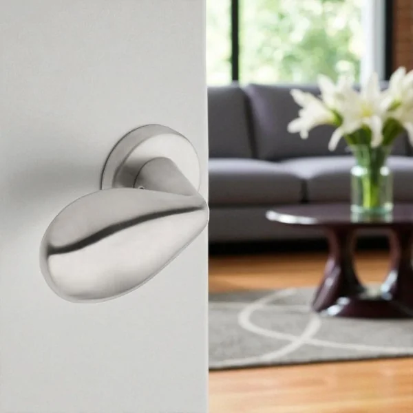 Pommeau de tirage de porte GOCCIA, Inox mat