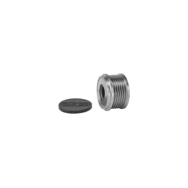 Poulie pour alternateur Bosch 0124425037 / 0124425071 / 0124525081
